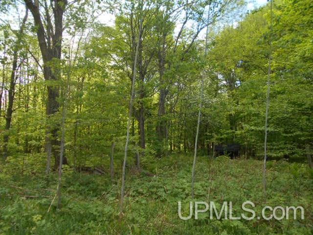 6672 Walnut Road West Florence, WI 54121 - Photo 13 of 15 Gallery Image 13