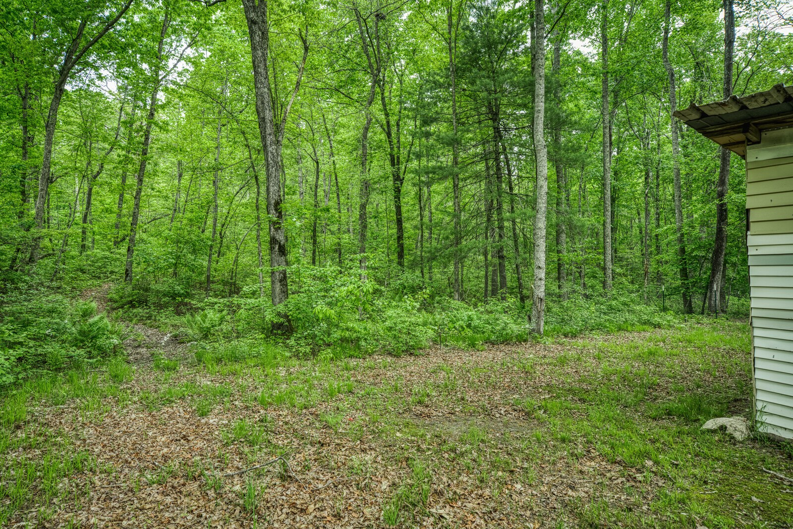 1853 Jr Camp Road Monterey, TN 38574 - Photo 40 of 40 Gallery Image 40