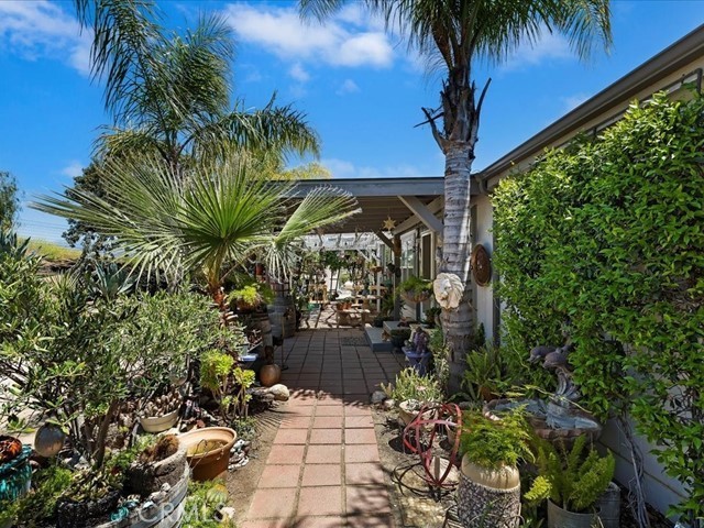 40410 Exa Ely Road Hemet, CA 92544 - Photo 40 of 74 a view of a backyard with a potted plants
