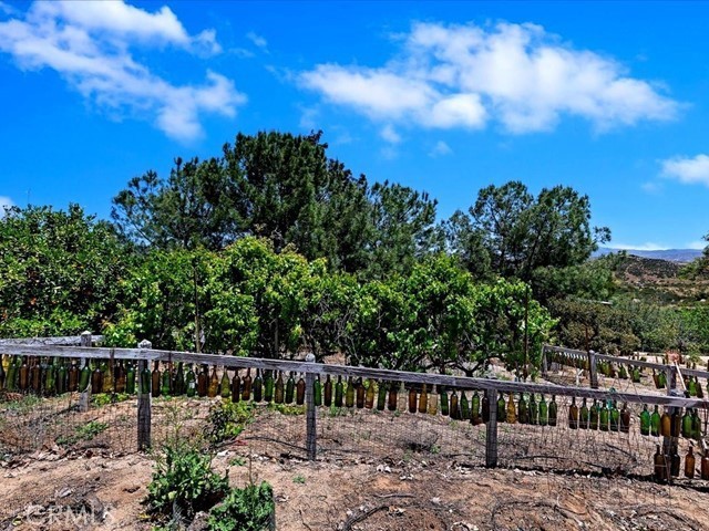 40410 Exa Ely Road Hemet, CA 92544 - Photo 50 of 74