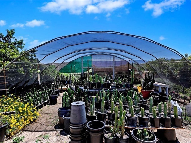 40410 Exa Ely Road Hemet, CA 92544 - Photo 54 of 74 a view of a patio with chairs and potted plants