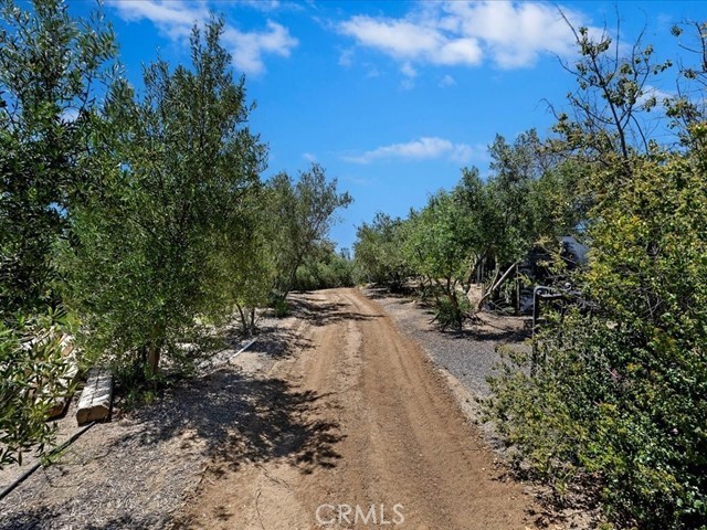 40410 Exa Ely Road Hemet, CA 92544 - Photo 57 of 74 a view of a yard with plants and trees