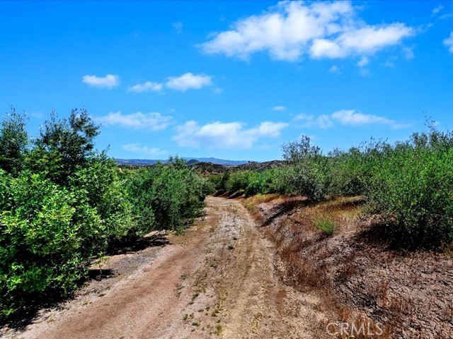 40410 Exa Ely Road Hemet, CA 92544 - Photo 60 of 74 a view of a road with a yard