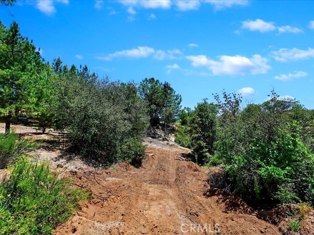 40410 Exa Ely Road Hemet, CA 92544 - Photo 64 of 74 a view of a pathway with a tree in the background