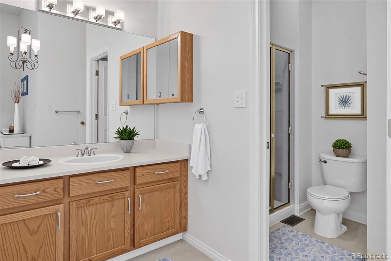 1741 South Deframe Street Lakewood, CO 80228 - Photo 26 of 48