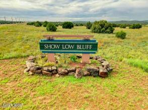 861 South Ridgeway Place Show Low, AZ 85901 - Photo 1 of 1 Show Low Bluff