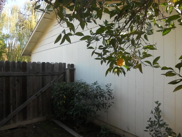 1577 North Hemlock Avenue Reedley, CA 93654 - Photo 16 of 18 Gallery Image 16