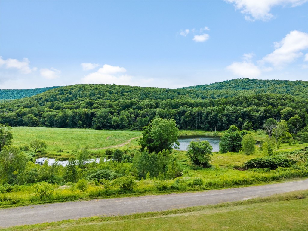 468 Mountain Road Windsor, NY 13865 - Photo 2 of 45