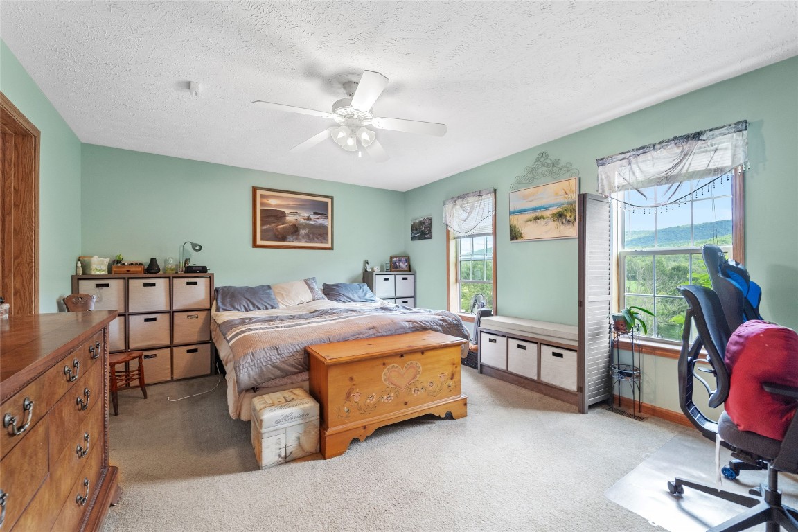 468 Mountain Road Windsor, NY 13865 - Photo 22 of 45