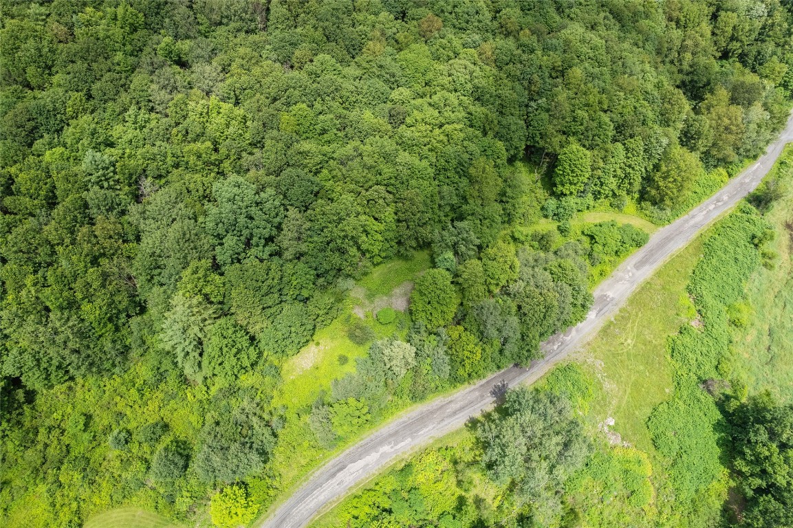 468 Mountain Road Windsor, NY 13865 - Photo 36 of 45