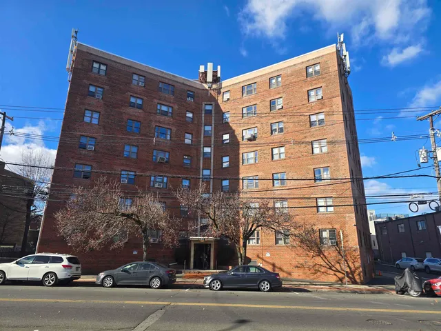 a street view with large trees
