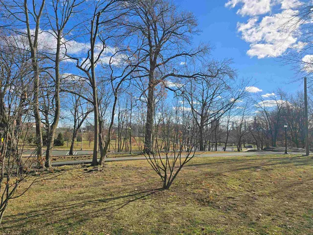 a view of swimming pool with a yard