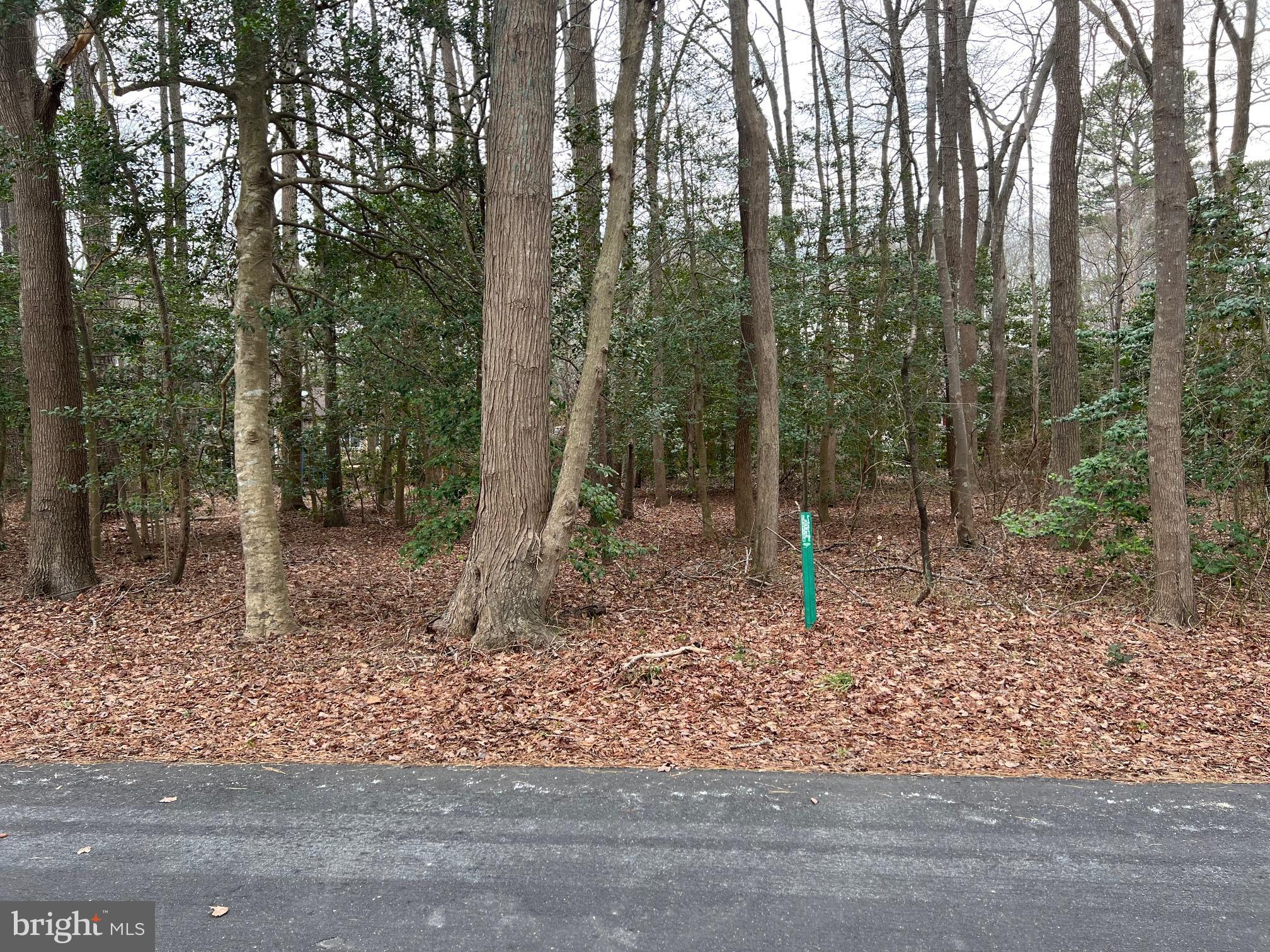 15 Kent Avenue Ocean View, DE 19970 - Photo 2 of 5 a backyard of a house with lots of green space