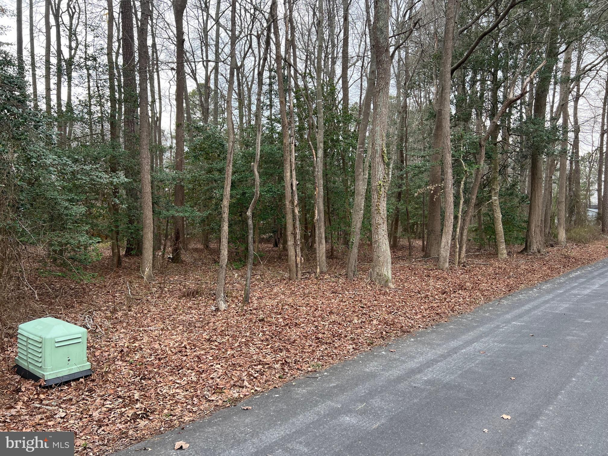 15 Kent Avenue Ocean View, DE 19970 - Photo 3 of 5 a backyard of a house with lots of green space