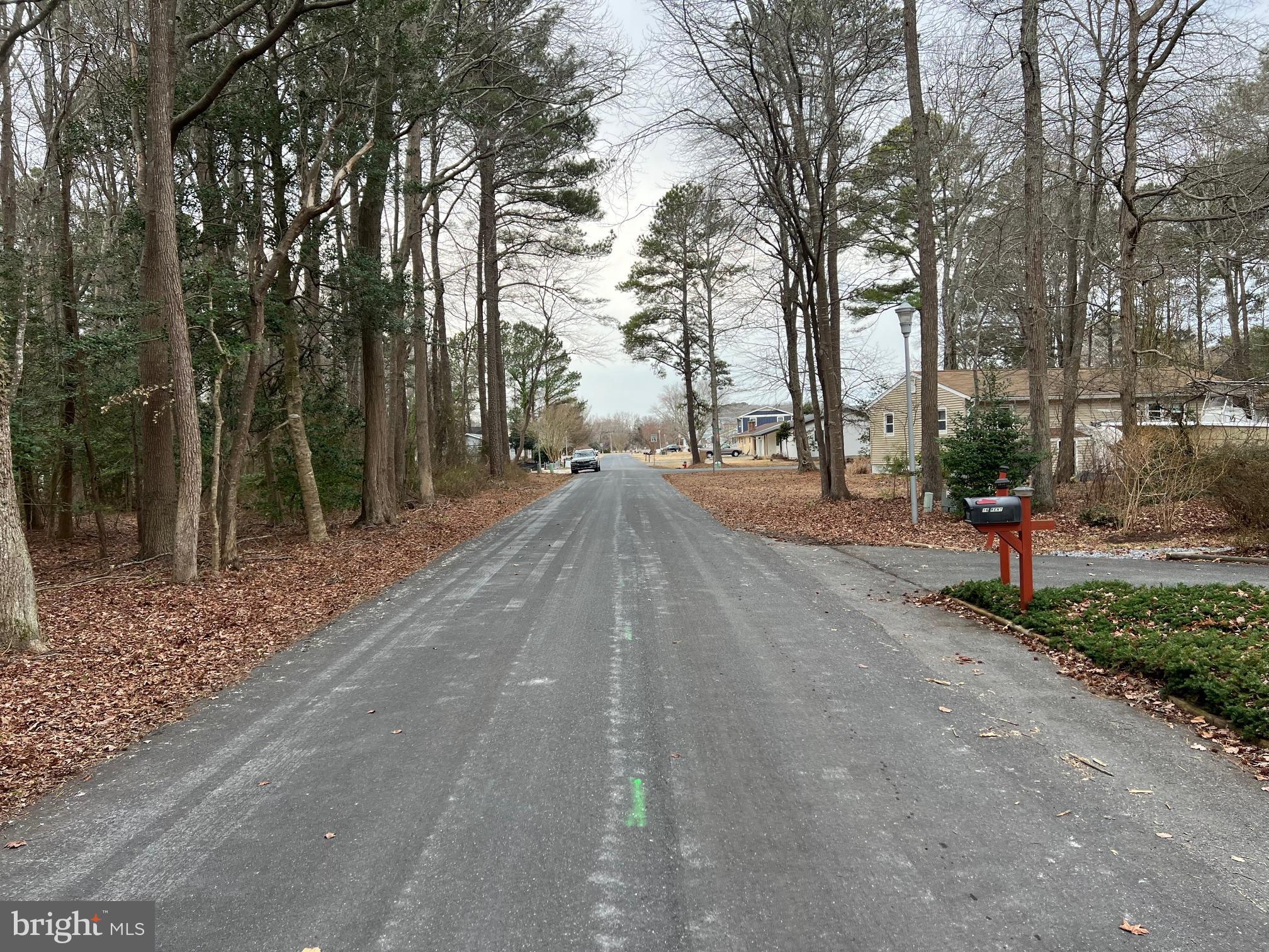 15 Kent Avenue Ocean View, DE 19970 - Photo 4 of 5 a street view with large trees