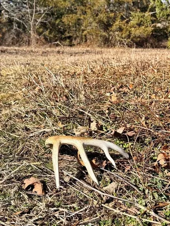 $478,800 | Tbd South 2925 Road, El Dorado Springs, MO 64744