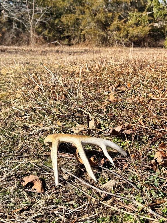 Tbd South 2925 Road El Dorado Springs, MO 64744 - Photo 17 of 48