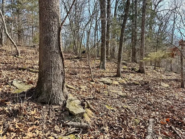 $478,800 | Tbd South 2925 Road, El Dorado Springs, MO 64744