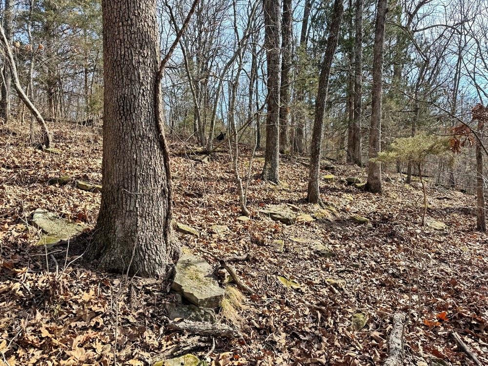 Tbd South 2925 Road El Dorado Springs, MO 64744 - Photo 20 of 48