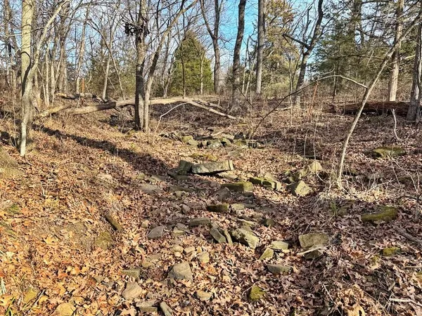 $478,800 | Tbd South 2925 Road, El Dorado Springs, MO 64744