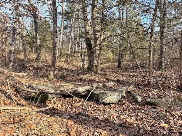 $478,800 | Tbd South 2925 Road, El Dorado Springs, MO 64744