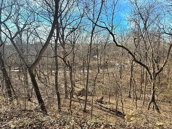 $478,800 | Tbd South 2925 Road, El Dorado Springs, MO 64744