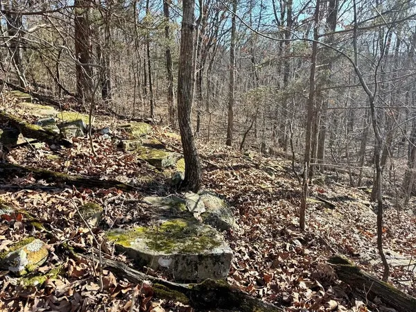 $478,800 | Tbd South 2925 Road, El Dorado Springs, MO 64744