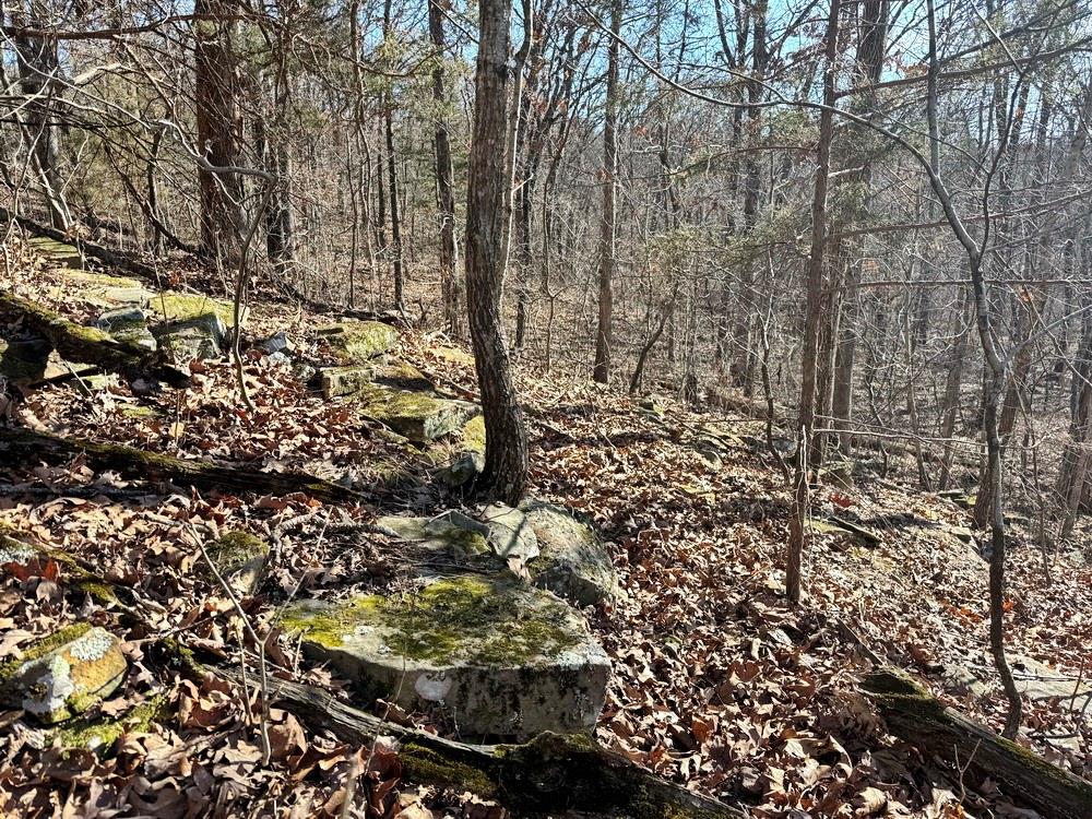 Tbd South 2925 Road El Dorado Springs, MO 64744 - Photo 24 of 48