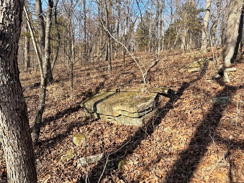 Tbd South 2925 Road El Dorado Springs, MO 64744 - Photo 25 of 48