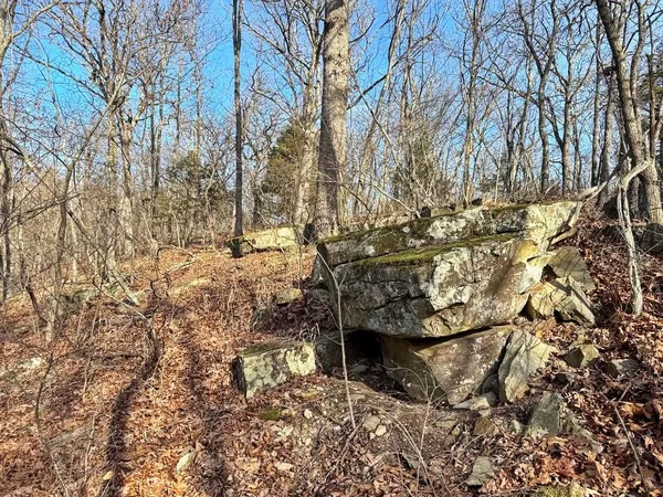 $478,800 | Tbd South 2925 Road, El Dorado Springs, MO 64744