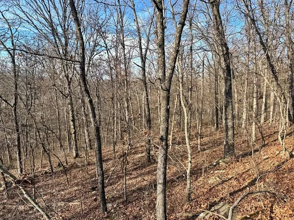 $478,800 | Tbd South 2925 Road, El Dorado Springs, MO 64744