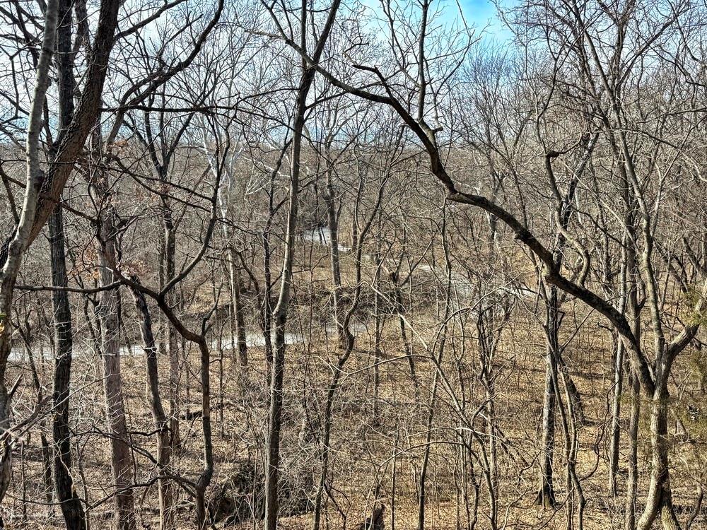 Tbd South 2925 Road El Dorado Springs, MO 64744 - Photo 28 of 48