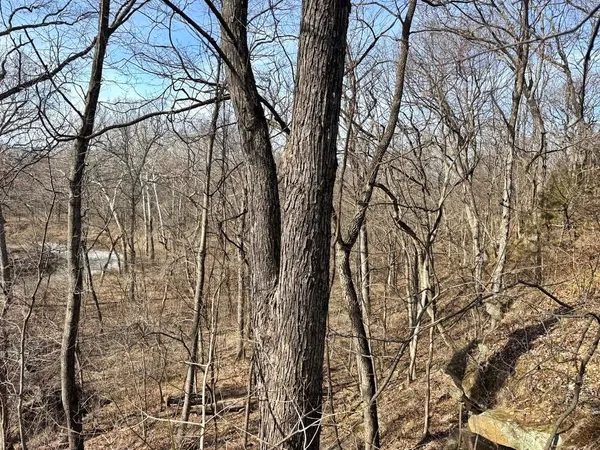 $478,800 | Tbd South 2925 Road, El Dorado Springs, MO 64744