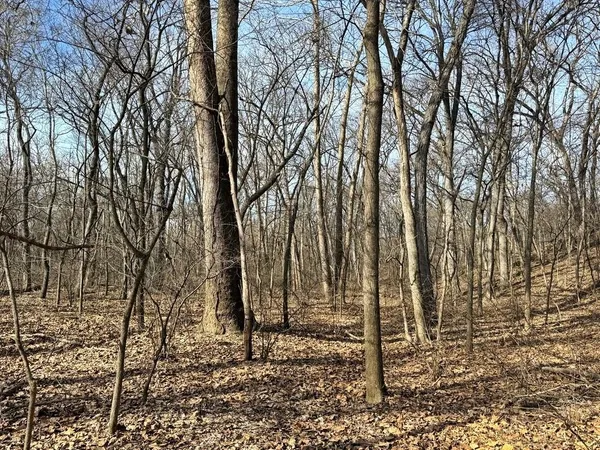 $478,800 | Tbd South 2925 Road, El Dorado Springs, MO 64744