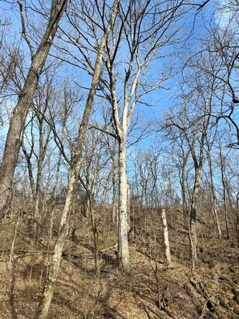 $478,800 | Tbd South 2925 Road, El Dorado Springs, MO 64744