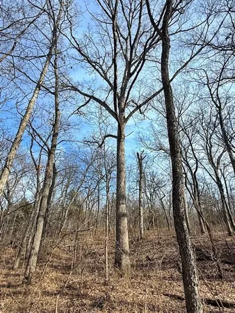 $478,800 | Tbd South 2925 Road, El Dorado Springs, MO 64744