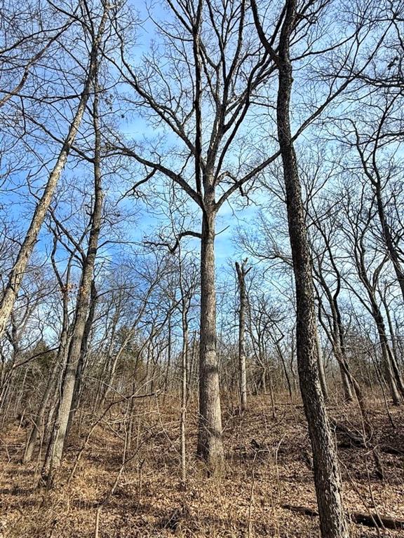 Tbd South 2925 Road El Dorado Springs, MO 64744 - Photo 35 of 48