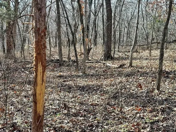 $478,800 | Tbd South 2925 Road, El Dorado Springs, MO 64744