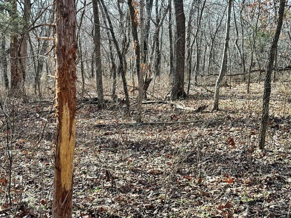 Tbd South 2925 Road El Dorado Springs, MO 64744 - Photo 36 of 48