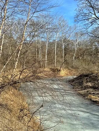 $478,800 | Tbd South 2925 Road, El Dorado Springs, MO 64744