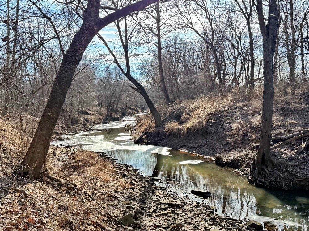 Tbd South 2925 Road El Dorado Springs, MO 64744 - Photo 40 of 48