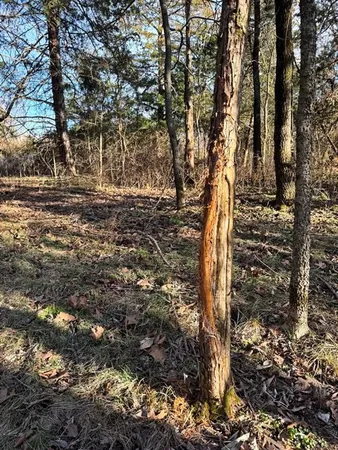 $478,800 | Tbd South 2925 Road, El Dorado Springs, MO 64744