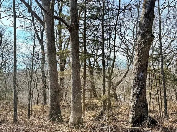 $478,800 | Tbd South 2925 Road, El Dorado Springs, MO 64744