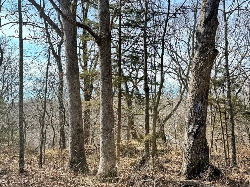 Tbd South 2925 Road El Dorado Springs, MO 64744 - Photo 45 of 48