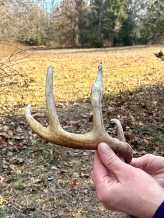 $478,800 | Tbd South 2925 Road, El Dorado Springs, MO 64744