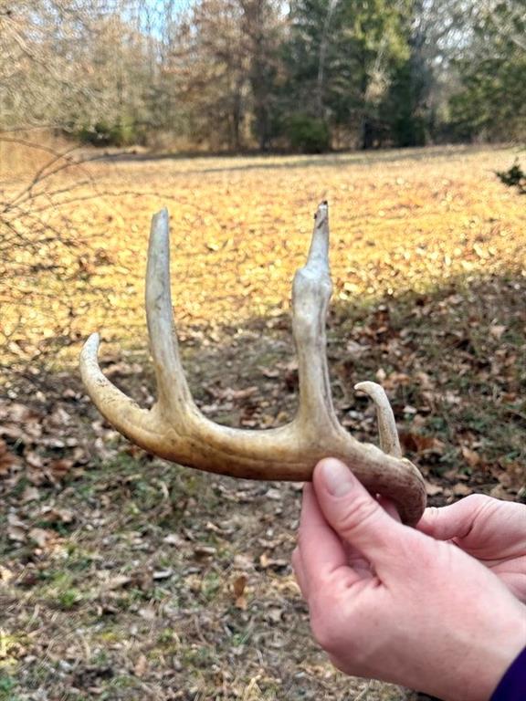 Tbd South 2925 Road El Dorado Springs, MO 64744 - Photo 47 of 48