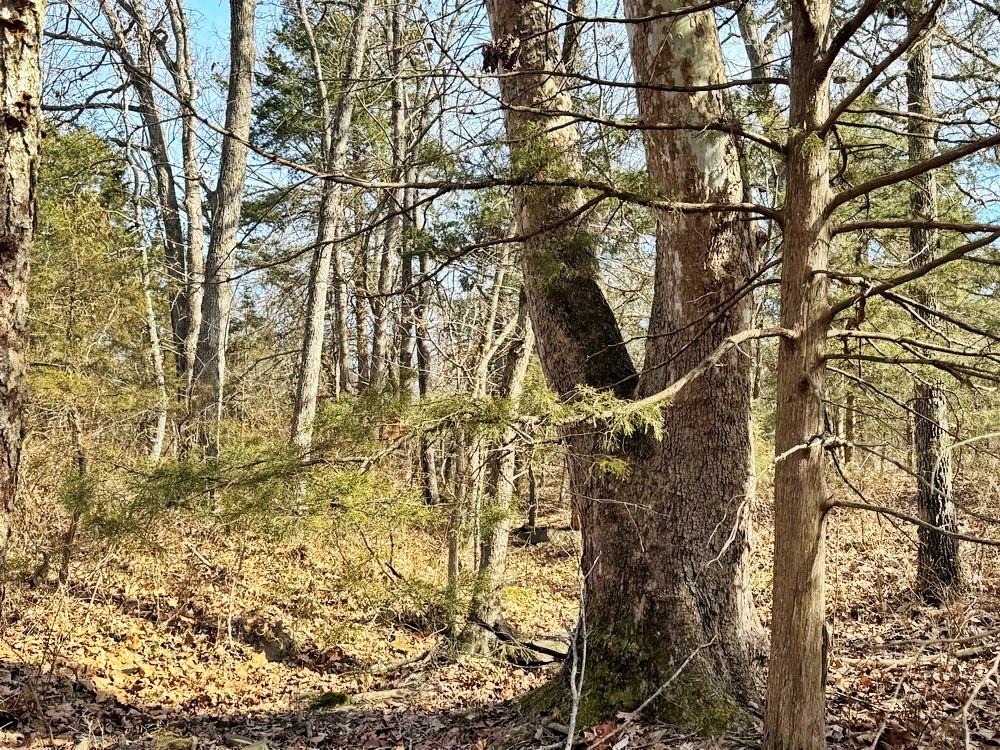 Tbd South 2925 Road El Dorado Springs, MO 64744 - Photo 48 of 48