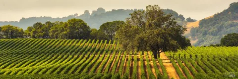 $1,266,000 | 390 Treehaven Lane, Kenwood, CA 95452