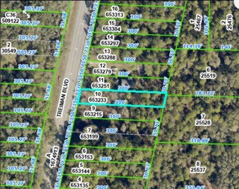 7338 Treiman Boulevard Webster, FL 33597 - Photo 3 of 8 a picture of flowers