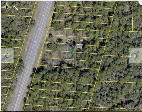 7338 Treiman Boulevard Webster, FL 33597 - Photo 4 of 8 a bathroom with a shower